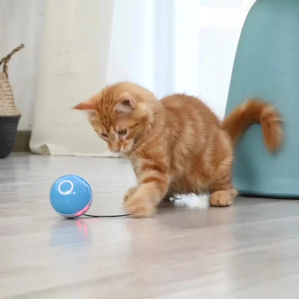 PELOTA INTELIGENTE GATOS - Pelota inteligente con cargador USB